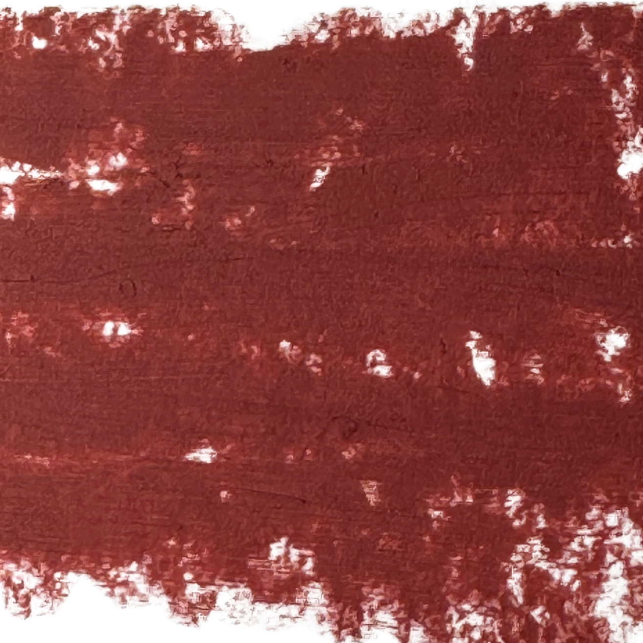 maroon rose